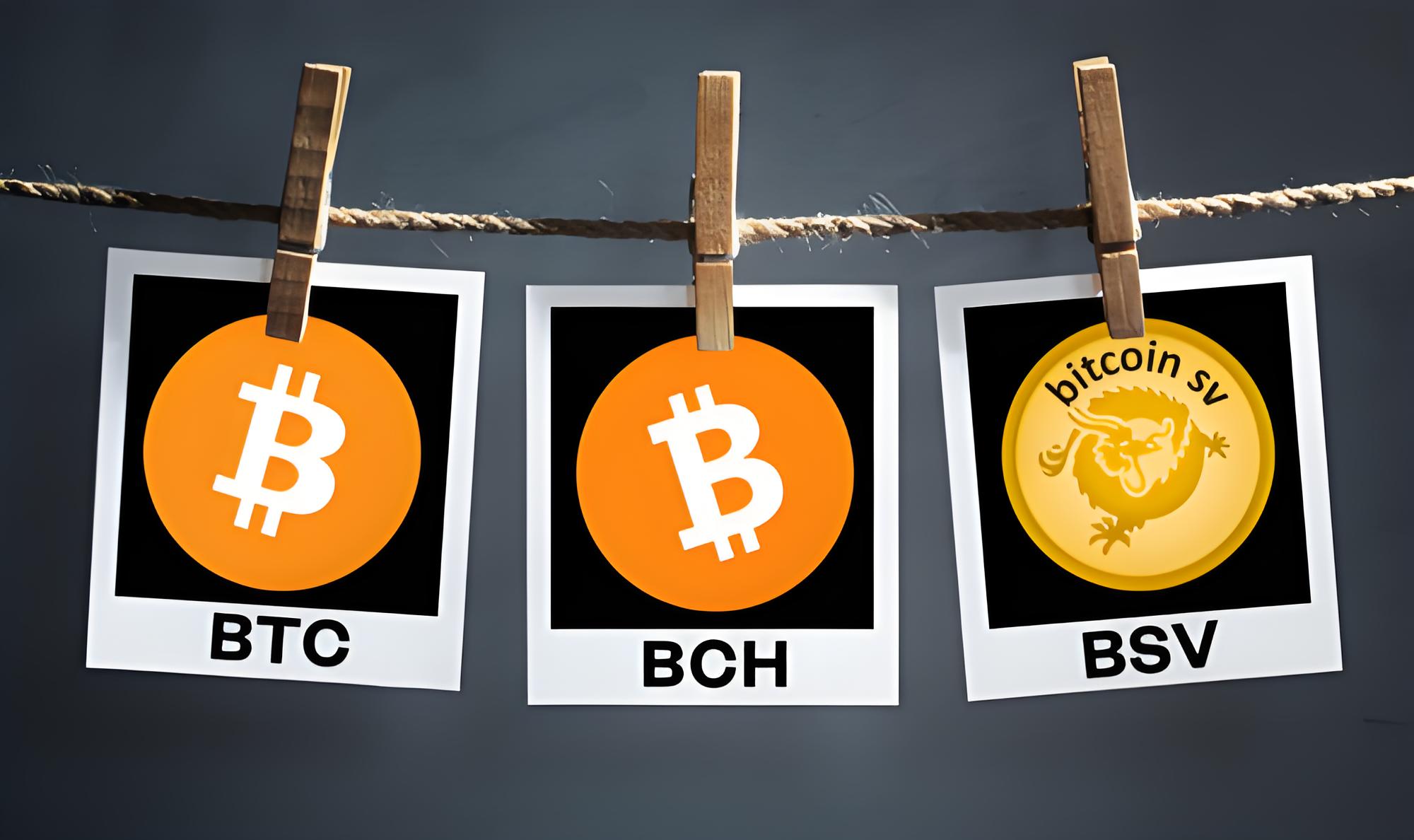 TRC20钱包下载指南：如何选择安全、便捷、功能全面的平台？